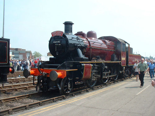 46441