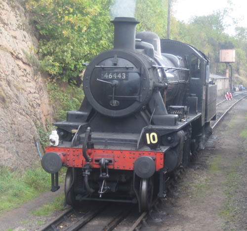 46443