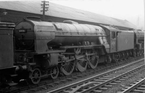60116