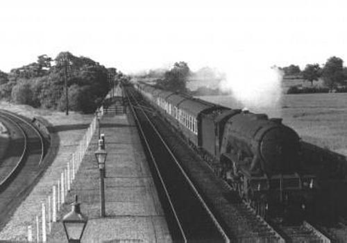 60036