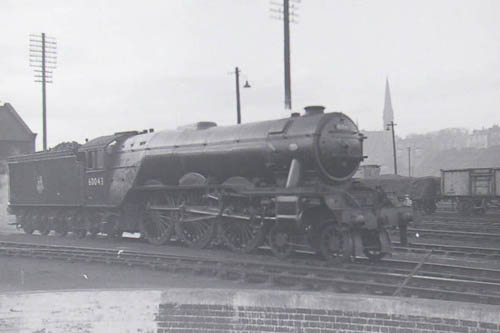 60043
