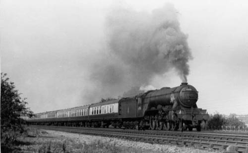 60056