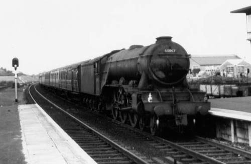 60067
