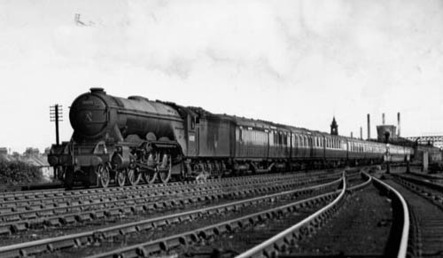60081