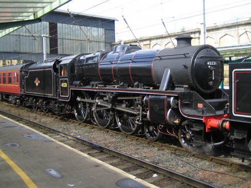 45231