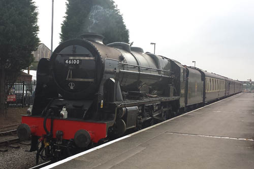 46100